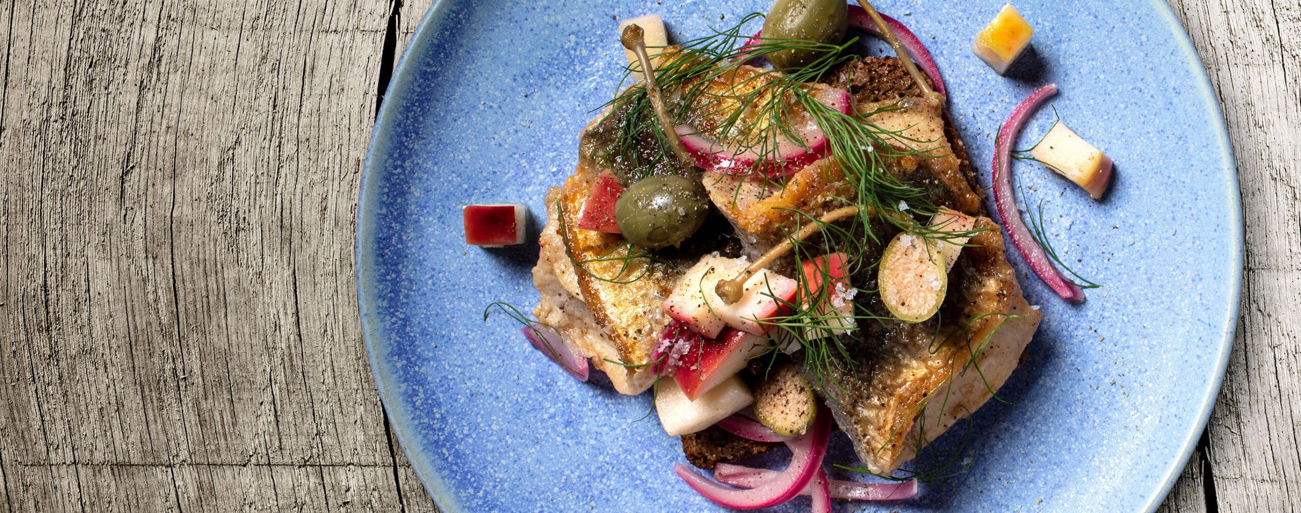 data-image-src="https://vildmedsild.dk/wp-content/uploads/2019/10/Problemløser_TopView_Dish3_2740x1080-1.jpg"